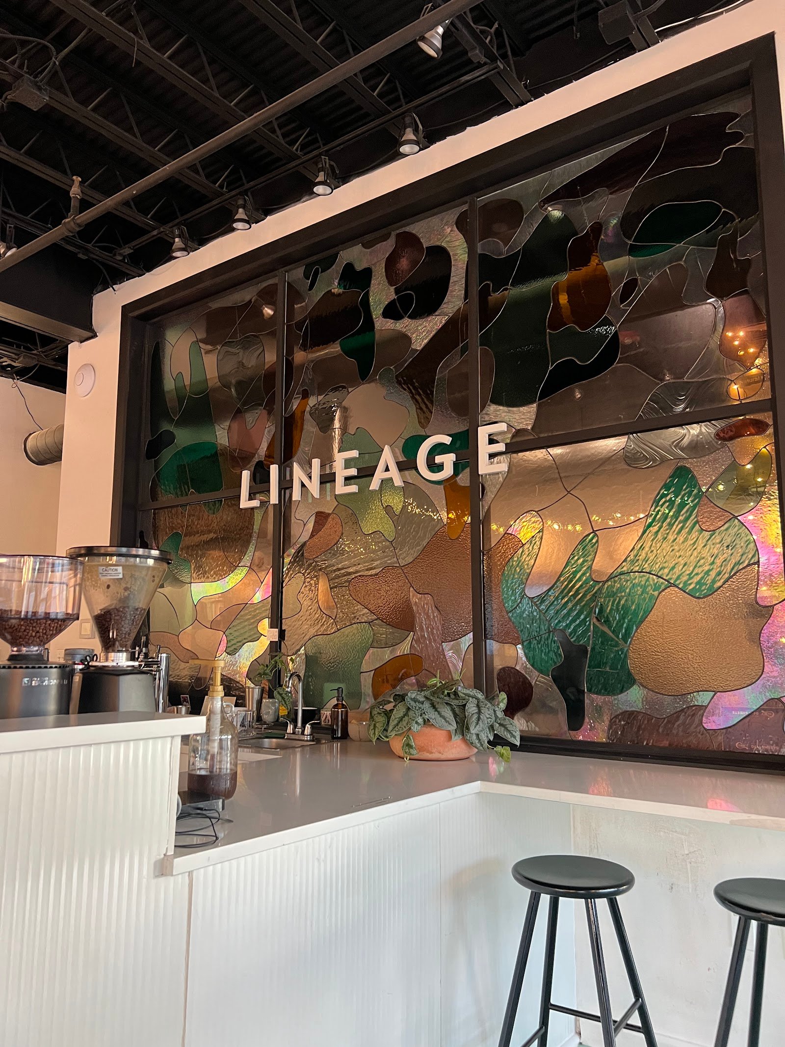 Lineage Coffee