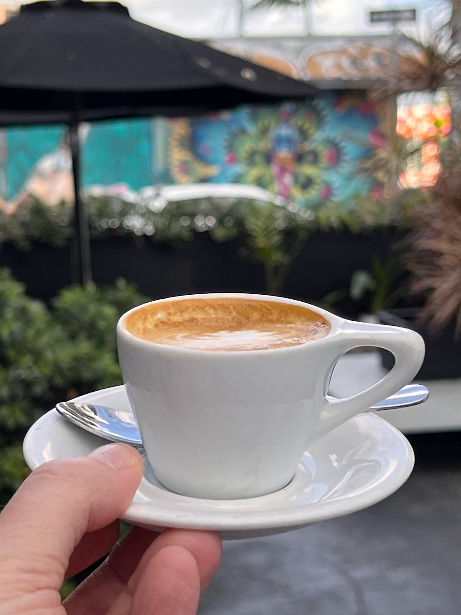 Panther Coffee - Wynwood
