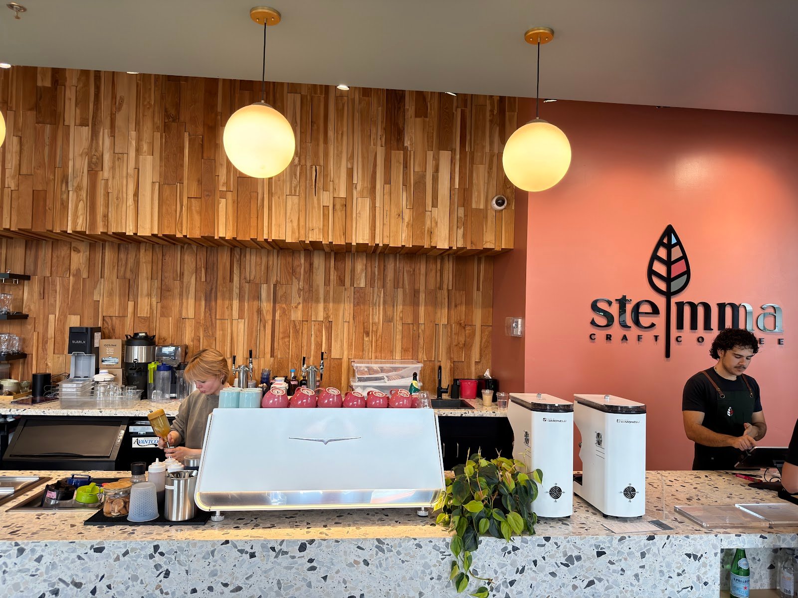 Stemma Craft Coffee